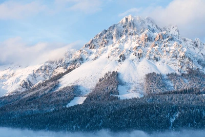 Panoramablick SkiWelt Wilder Kaiser